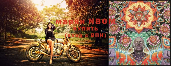 стафф Тында