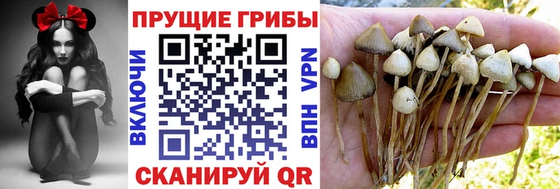 Купить  Сочи  Галлюциногенные грибы ЛСД 